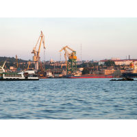 ООО «Алекод» 
